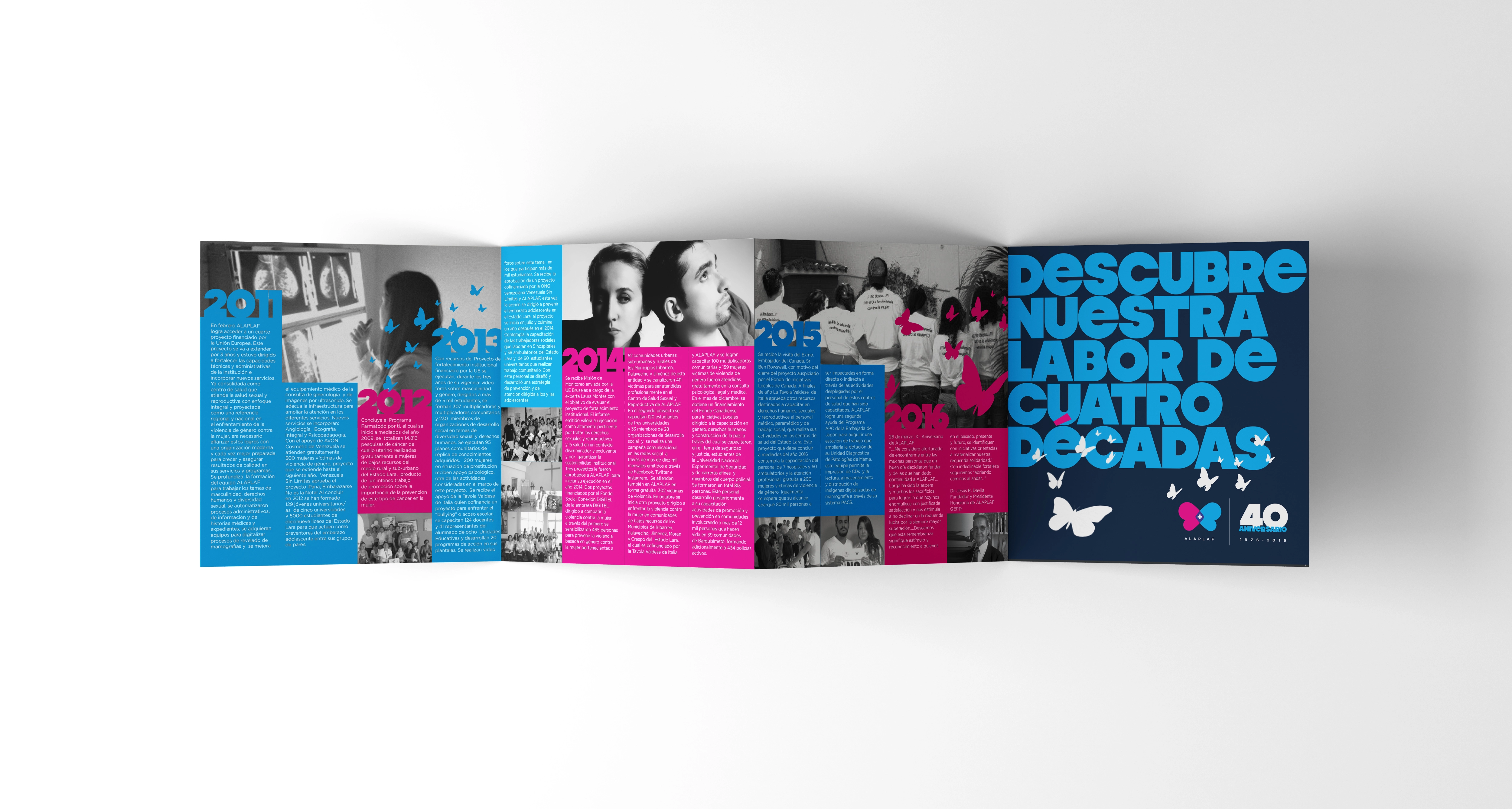 ALAPLAF ONG's |  Strategy | Branding Design  | Collateral