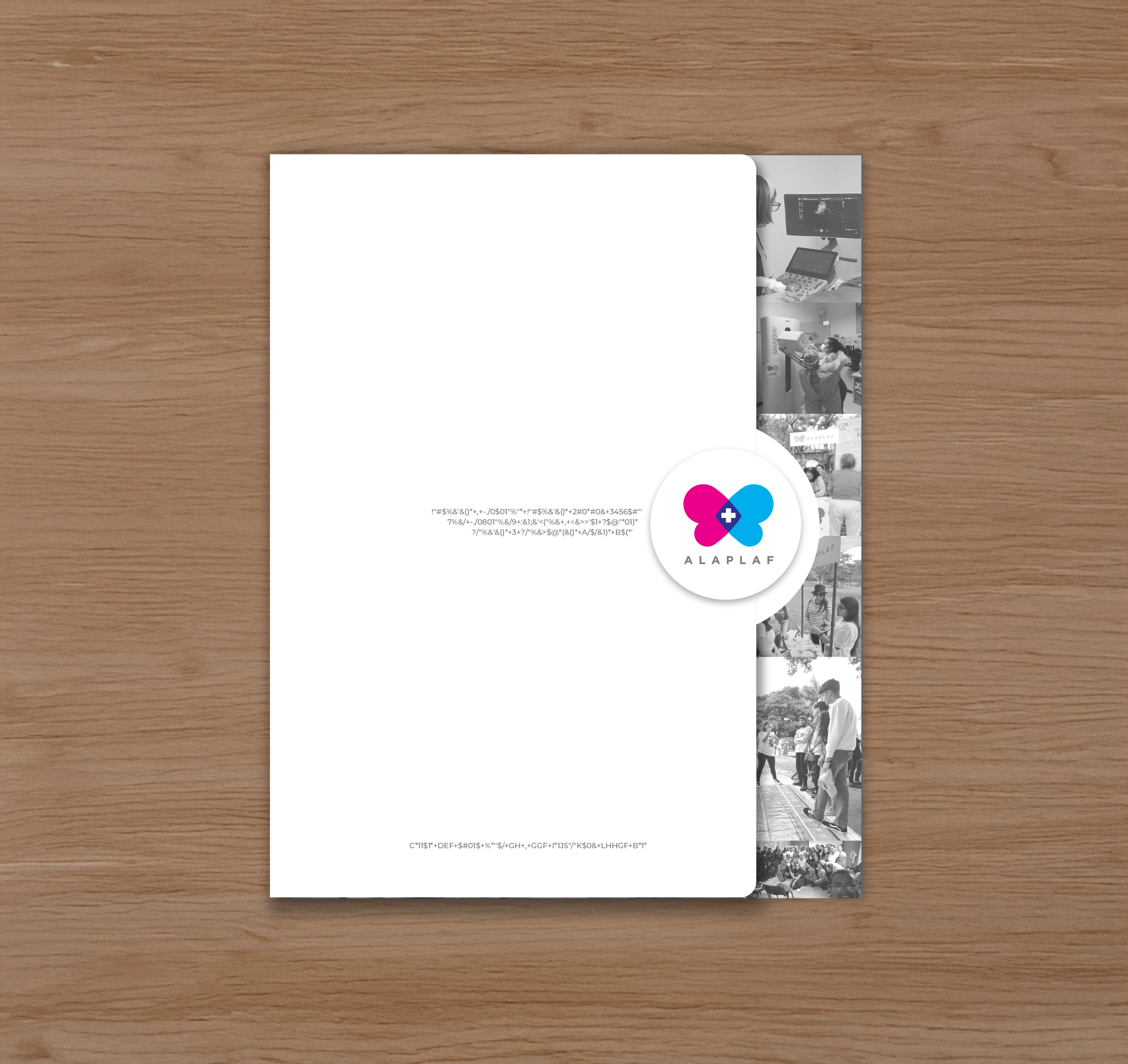 ALAPLAF ONG's |  Strategy | Branding Design  | Collateral